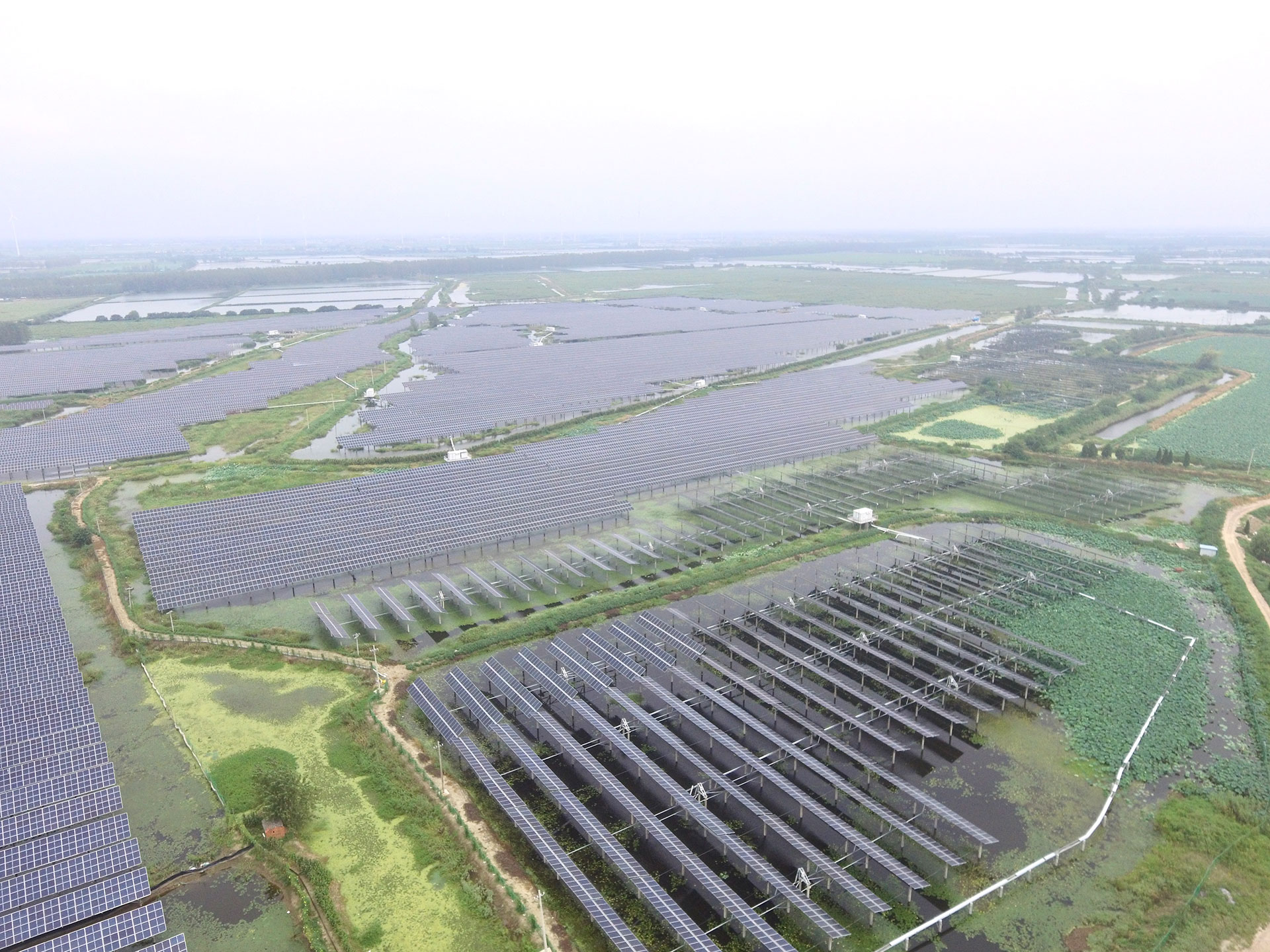 #2 100 MW Project at the Top Runner PV Power Generation Application Base of www.taiyangcheng.com in Baoying, Yangzhou, Jiangsu Province